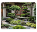 Thi Công Tiểu Cảnh Sân Vườn
