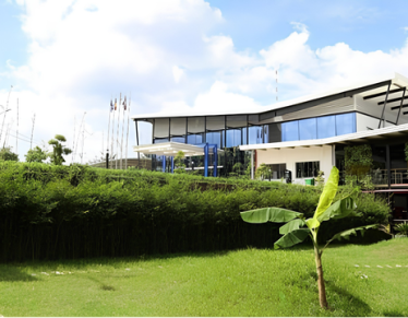 Thi Công Cảnh Quan Nhà Xưởng