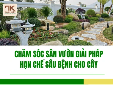 Chăm Sóc Sân Vườn Giải Pháp Hạn Chế Sâu Bệnh Cho Cây