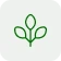 Cung Cấp Cây Xanh