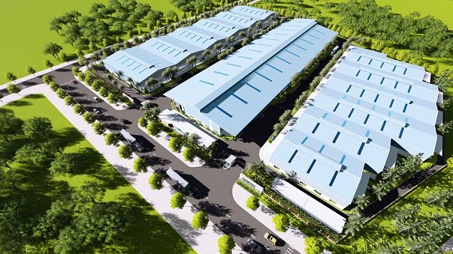 Duy trì sức sống xanh với dịch vụ chăm sóc định kỳ
