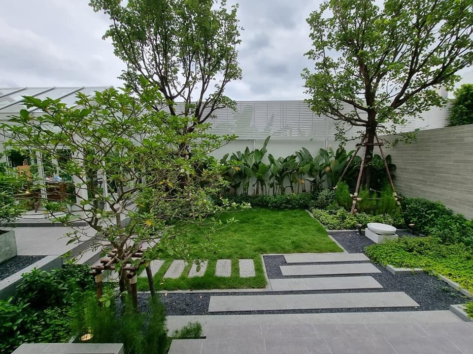 Khơi Nguồn Cảm Hứng Xanh Cho Không Gian Sống Của Bạn