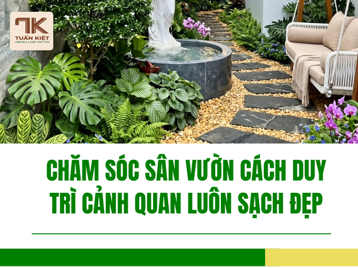 Chăm Sóc Sân Vườn Sức Sống Từ Những Khoảng Xanh 