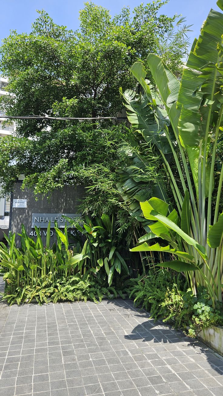 Nuôi dưỡng mầm xanh, khơi nguồn cảm hứng sống