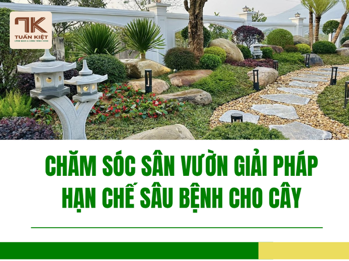 Chăm Sóc Sân Vườn Giải Pháp Hạn Chế Sâu Bệnh Cho Cây