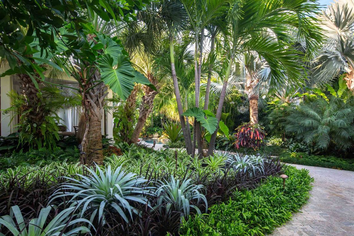 Phòng trừ sâu bệnh chủ động