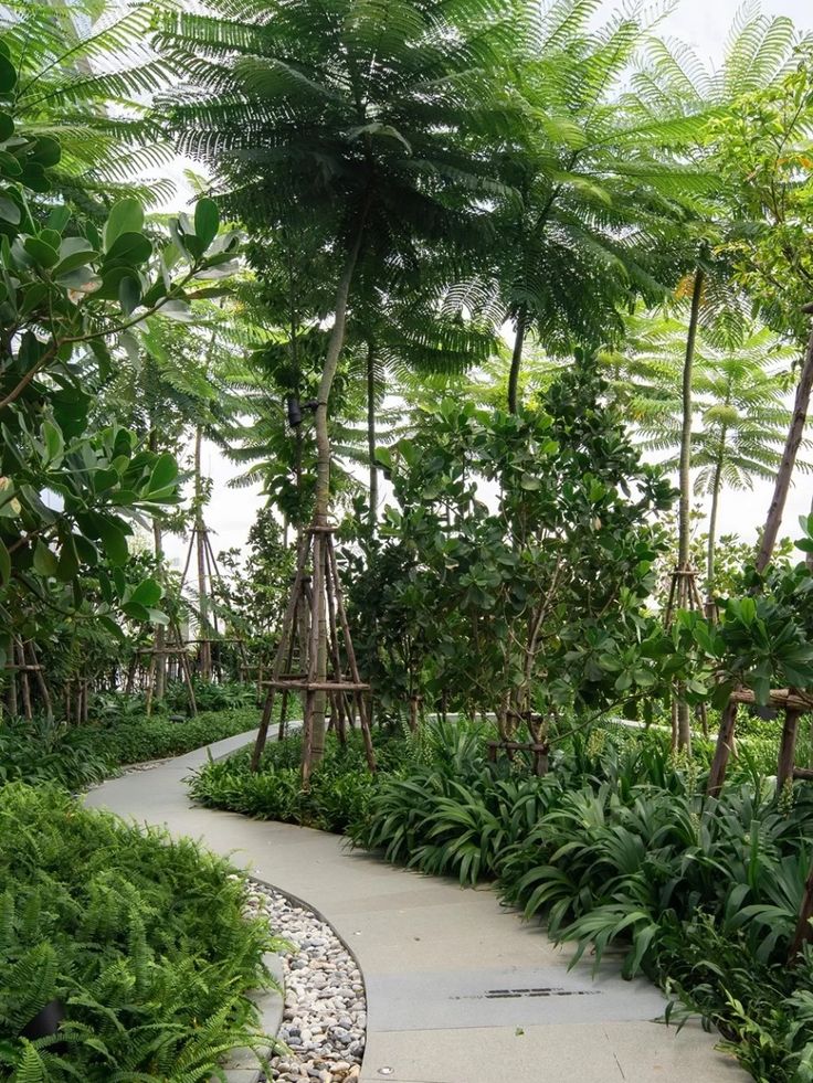 Nguyên Tắc Vàng Khi Chọn Cây Xanh Cho Công Trình