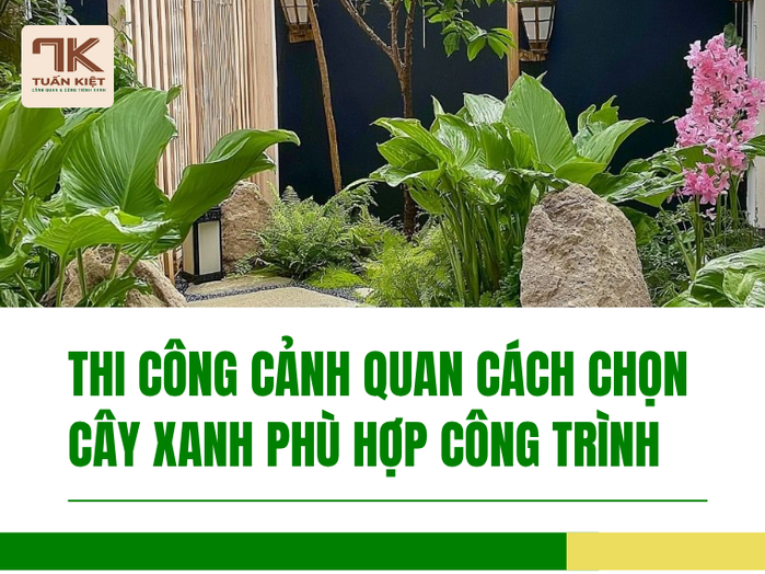 Thi Công Cảnh Quan Cách Chọn Cây Xanh Phù Hợp Công Trình