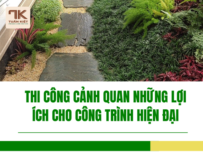 Thi Công Cảnh Quan Những Lợi Ích Cho Công Trình Hiện Đại