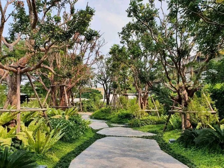 Thi Công Sân Vườn Tuấn Kiệt